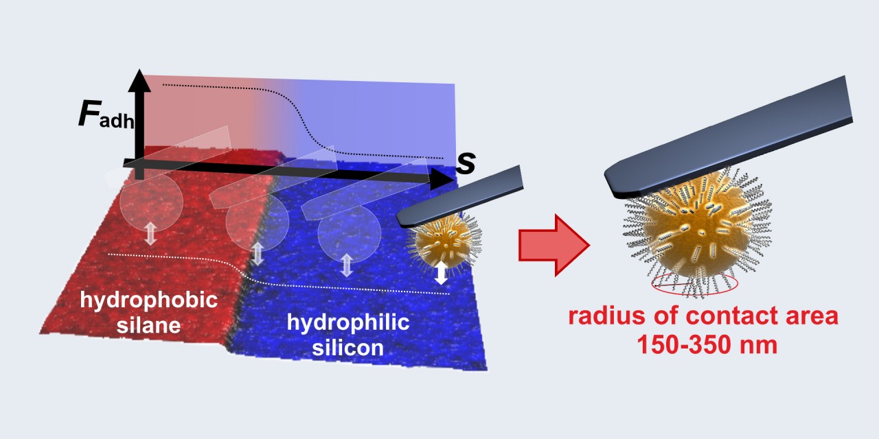 aktuell/adhesion-radius_banner.jpg