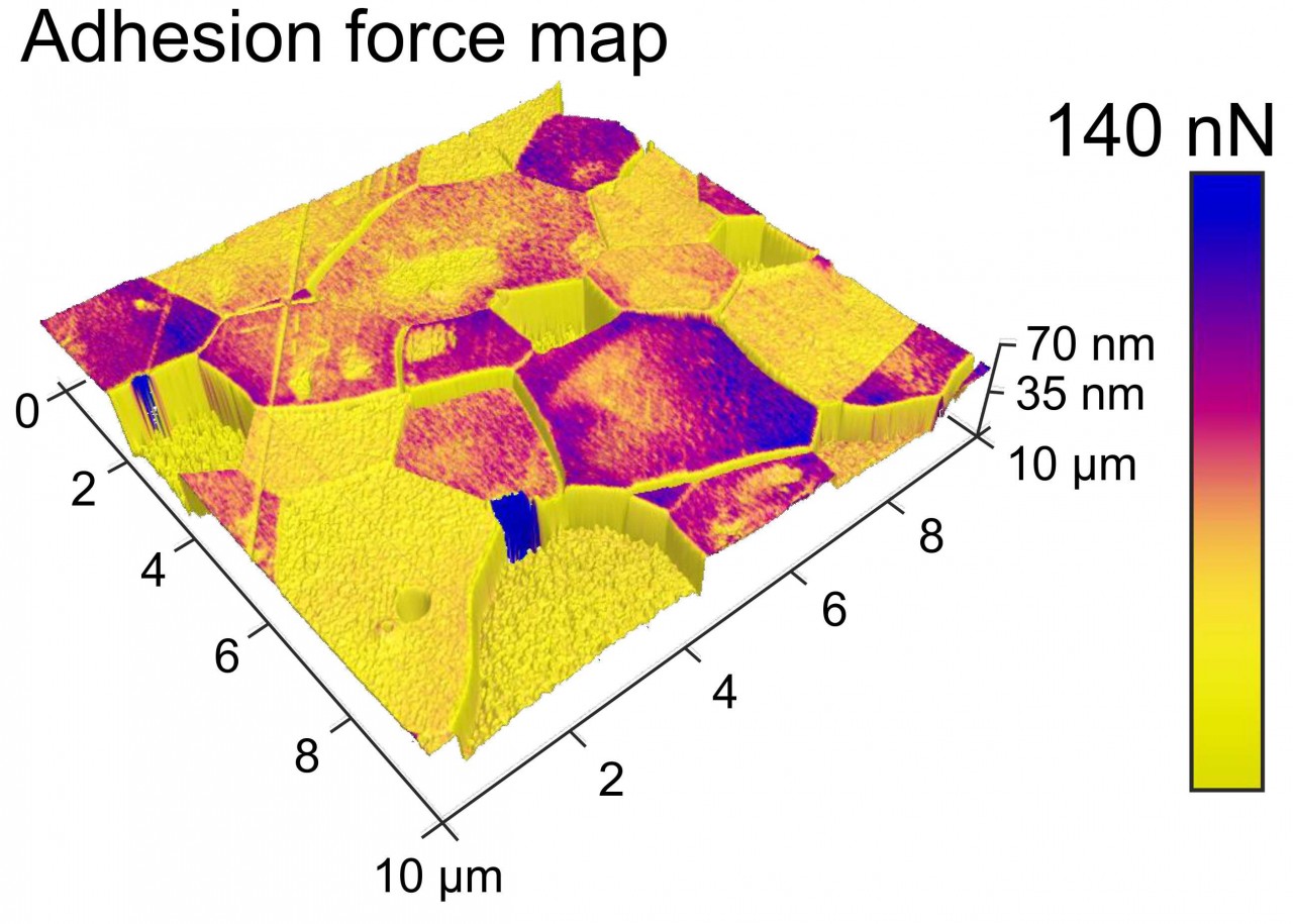 forschung/adhesion-map.jpg