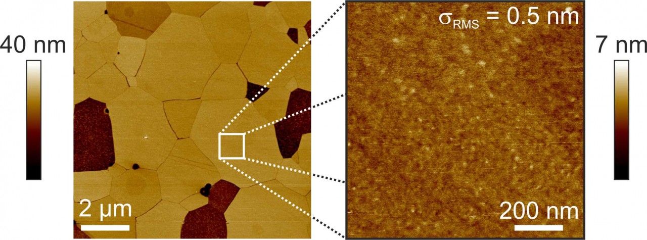 forschung/hap-surface.jpg