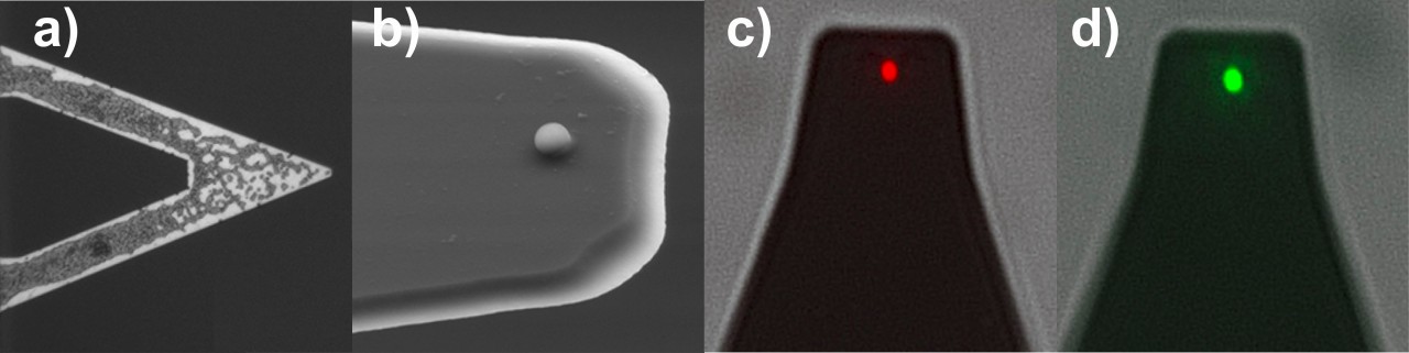 forschung/probes_2.jpg